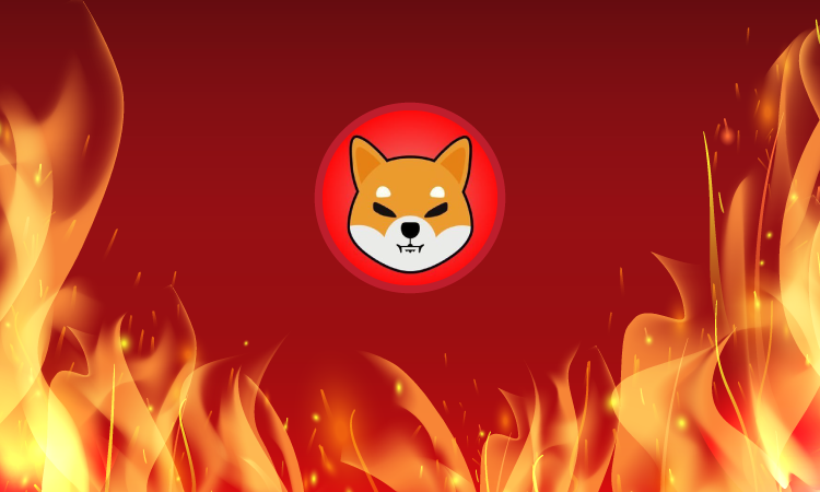 Shiba Inu Lead Dev Confirms Development Of Burn Portal
